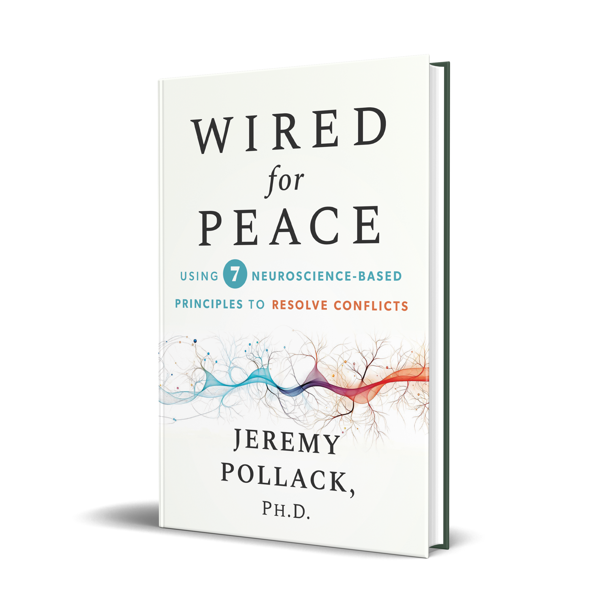 https://pollackpeacebuilding.com/wp-content/uploads/2026/05/Pollack-9781394372973-ECF-REV1-scaled.png
